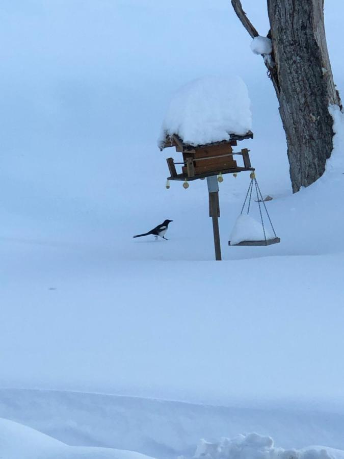 Magnifique Maison près du centre Nendaz Esterno foto